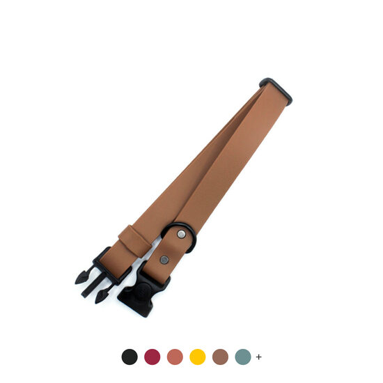 Collar with lockable plastic side release buckle